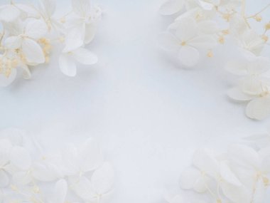 Beyaz arkaplandaki mavi ortanca çiçeklerinin çiçek bileşimi.