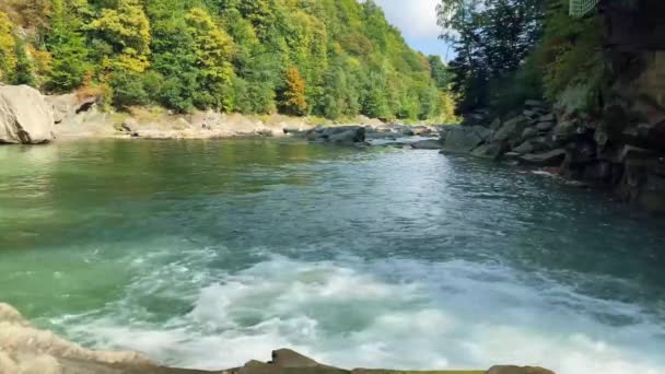 Rio de montanha no outono fluindo entre uma bela floresta nos Cárpatos, Ucrânia. O conceito de natureza e turismo — Vídeo de Stock