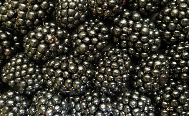 Çok sayıda böğürtlenin doku arkaplanı. Doğal böğürtlen