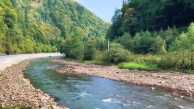 Sonbaharda Ukrayna, Karpatlar 'da güzel bir orman arasında akan dağ nehri. Doğa ve turizm kavramı