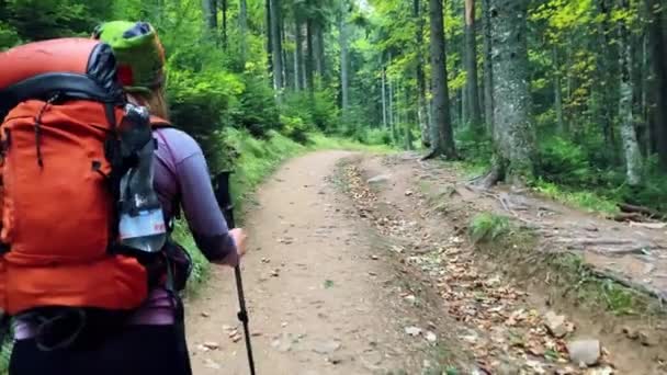 Una chica turística sube a la montaña con mochila, bastones de trekking. Turismo y concepto de estilo de vida activo — Vídeos de Stock
