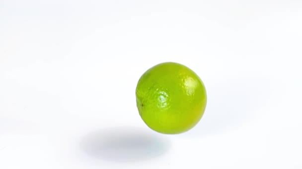 Limão voa para baixo e rola em câmera lenta contra um fundo branco. — Vídeo de Stock