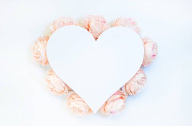 Beyaz arka planda pembe çiçeklerin oluşturduğu çiçek kompozisyonu. İlkbahar, yaz projeleriniz için şablon