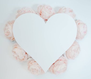 Beyaz arka planda pembe çiçeklerin oluşturduğu çiçek kompozisyonu. İlkbahar, yaz projeleriniz için şablon