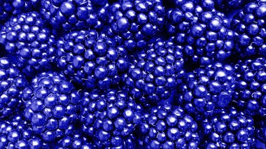 2022 yılı renginde çok sayıda böğürtlenin doku arkaplanı çok peri.