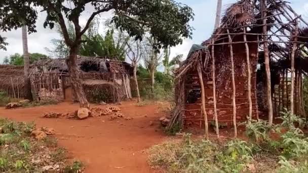 Местная африканская деревня в летнее время, глиняные дома и соломенные крыши, банановые деревья. Концепция путешествия и туризма — стоковое видео