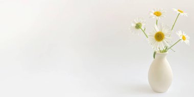 Çiçek kompozisyonu. Beyaz arka planda, kilden bir vazoda beyaz papatya çayı ile yüksek anahtarlı fotoğrafçılık.