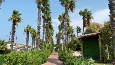 Türkiye 'de bir tatil köyü boyunca palmiye ağaçları, dükkanlar, plaj şemsiyeleri arasında mavi gökyüzüne karşı yürüyün