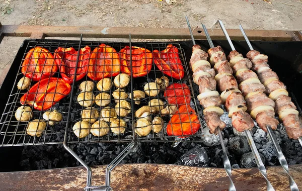 Carne de churrasco, batatas, pimenta doce na grelha. Descanso na natureza, churrasco — Fotografia de Stock