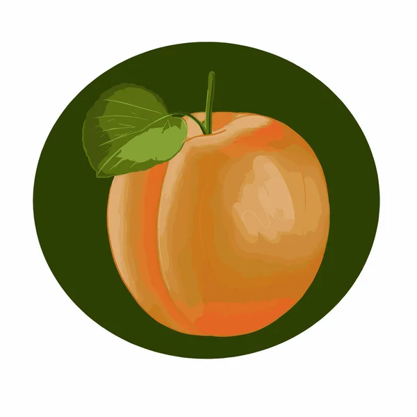 白を基調としたオレンジと緑のアプリコットのベクトルシール — ストックベクタ
