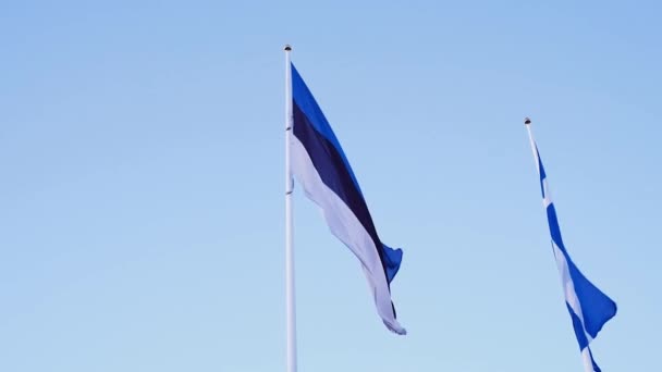 The official state symbol of Estonia is a flag with a blue, black and white stripe against a blue sky fluttering in the wind — Vídeo de stock