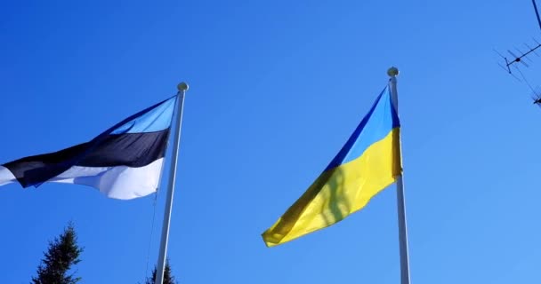 The flag of Ukraine and the flag of Estonia are fluttering in the wind against the blu sky — Video Stock