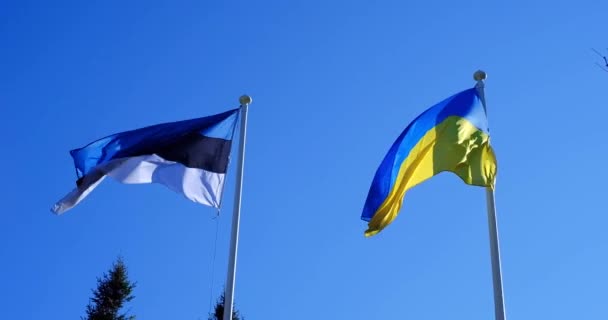 The flag of Ukraine and the flag of Estonia are fluttering in the wind against the blu sky — Stockvideo