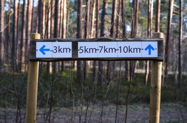 Orman parkındaki bir güzergahın yönünü ve mesafesini gösteren tahta bir direk.. 
