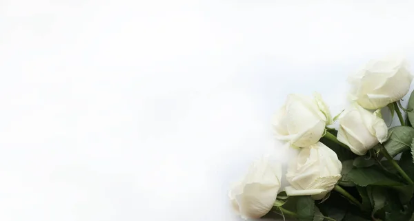 Skład Kwiatów Ramka Wykonana Białych Kwiatów Białym Tle Walentynki Dzień Zdjęcia Stockowe bez tantiem
