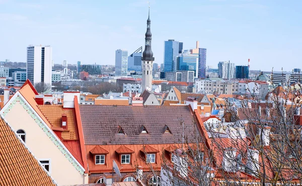 Eski şehrin en iyi manzarası - Estonya 'nın Tallinn' in en eski kısmı turuncu kiremitli çatıları ve antik binaları ile.