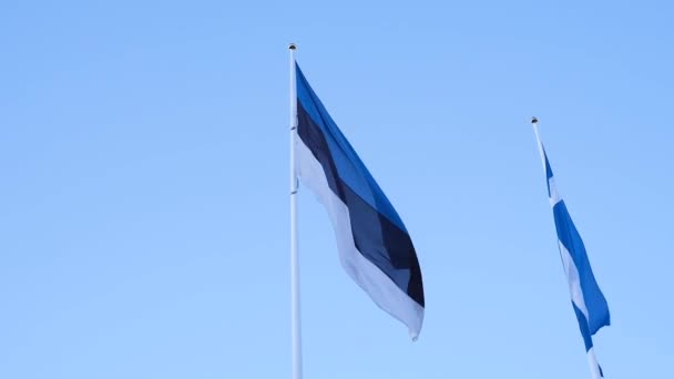 Official State Symbol Estonia Flag Blue Black White Stripe Blue — Vídeo de stock