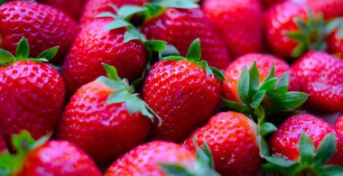 Çok sayıda çileğin yakın plan çekimi. Doğal arkaplan.