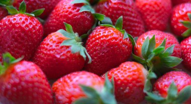 Çok sayıda çileğin yakın plan çekimi. Doğal arkaplan.