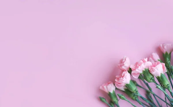 Flowers composition. Pink flowers on soft pink background. Spring, summer concept. Flat lay, top view, copy space.