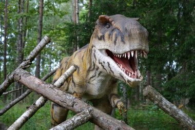 Close-up of a robotic dinosaur of the tyrannosaurus species in an amusement park opening its eyes and mouth and looking at the camera.