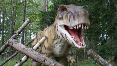 Close-up of a robotic dinosaur of the tyrannosaurus species in an amusement park opening its eyes and mouth and looking at the camera.