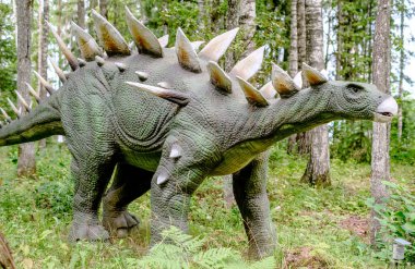 Close-up of a robotic dinosaur of the stegosaurus species in an amusement park.