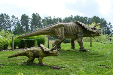 Close-up of a robotic dinosaur of the triceratops species in an amusement park.