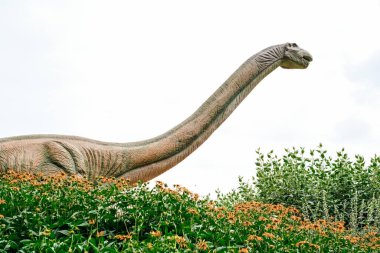 Close-up of a robotic dinosaur of the diplodocus species in an amusement park.
