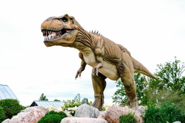 Close-up of a robotic dinosaur of the tyrannosaurus species in an amusement park.