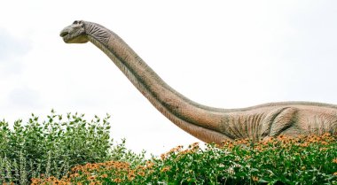 Close-up of a robotic dinosaur of the diplodocus species in an amusement park.