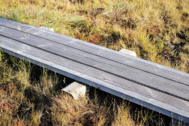 A wooden path in the National Park in Estonia among the forest and bog on a clear day.