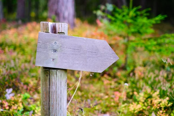 A wooden pole with an indicator of the direction of a walking route in a forest park area. Recreation and tourism.