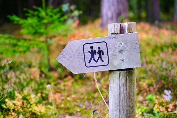 A wooden pole with an indicator of the direction of a walking route in a forest park area. Recreation and tourism.