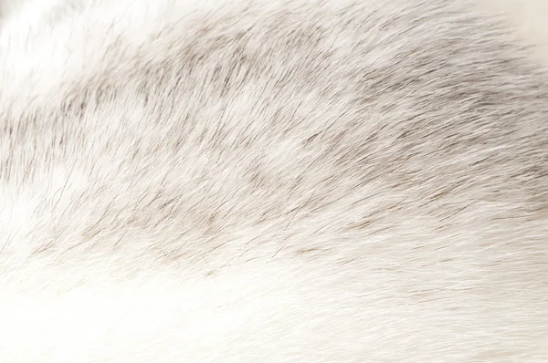 Luxurious mink fur texture close-up — Stock Photo, Image