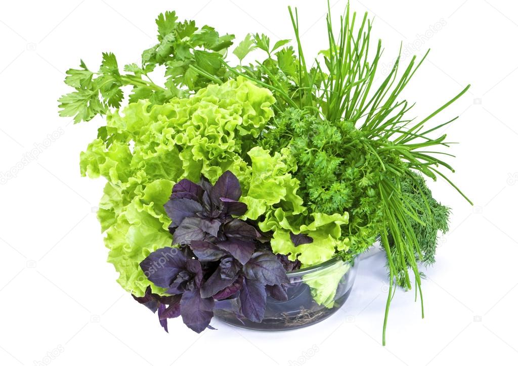 Basil, lettuce, parsley and green onion in glass bowl isolated