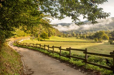 Bir hayat yolu. Kişisel gelişim. İspanya 'nın kuzeyindeki doğa yolu.