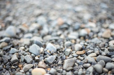 Islak çakıl taşlarının arka planı, seçici odak noktası, arka kısmı bulanık. Gri ve kahverengi tonlar. Deniz kıyısından taşlar.