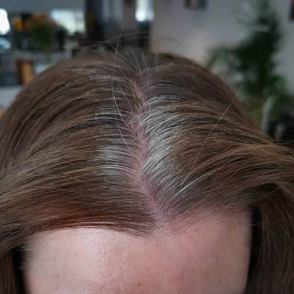 Head of an elderly woman with gray hair that grew after dyeing — Stock Photo, Image