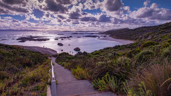 Een Groen Zwembad West Australië Strand Panorama — Stockfoto