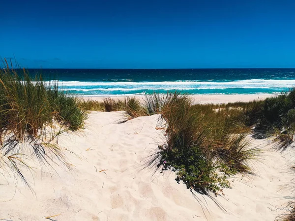 Uitzicht Vanaf Duin Top Zonsondergang Indische Oceaan Australië — Stockfoto