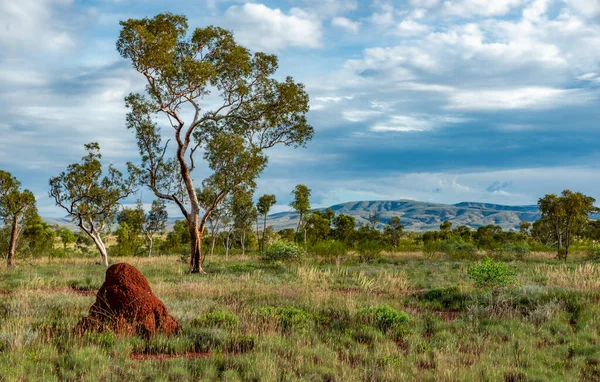 Parque Nacional Karijini Paisagem Acidentada Sujeira Vermelha Desfiladeiros Montes Cupins — Fotografia de Stock