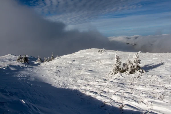 Paesaggio invernale — Foto Stock