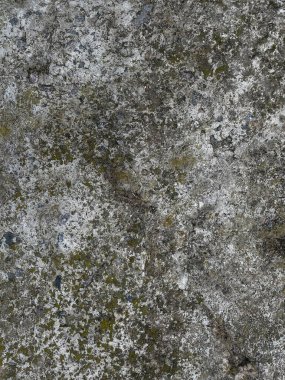 Eski Taş Yüzey Dokusu - Üst Görünüm