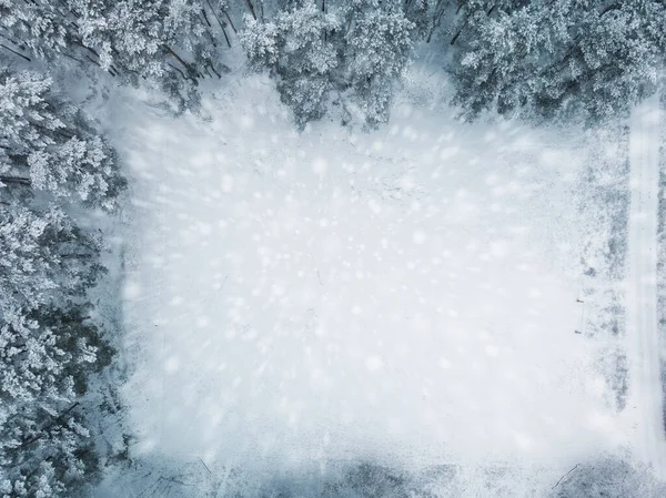 Lama Iarnă Acoperită Zăpadă Vedere Sus — Fotografie, imagine de stoc