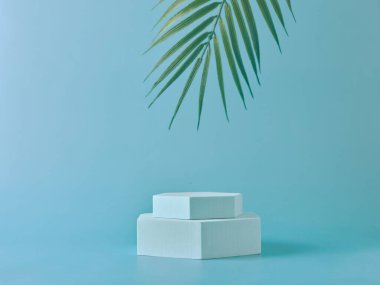 Ürün sunumu podyumu ve palmiye dalı