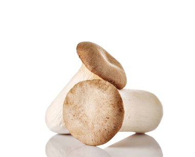 Eringi mantarları beyaz üzerine izole edilmiş.