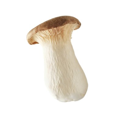 Mantar eringi beyaz arkaplanda izole edildi