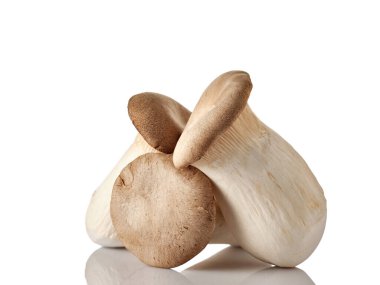 Beyaz arka planda Eringi mantarları