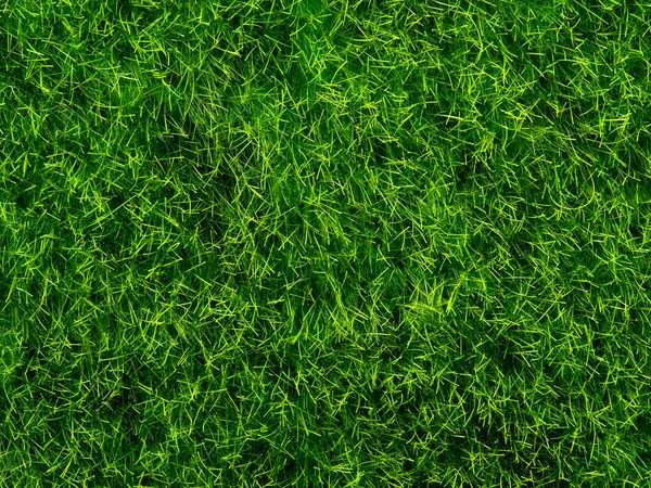 Texture of green grass close up
